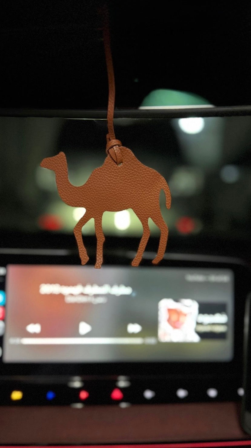 علاقات سياره